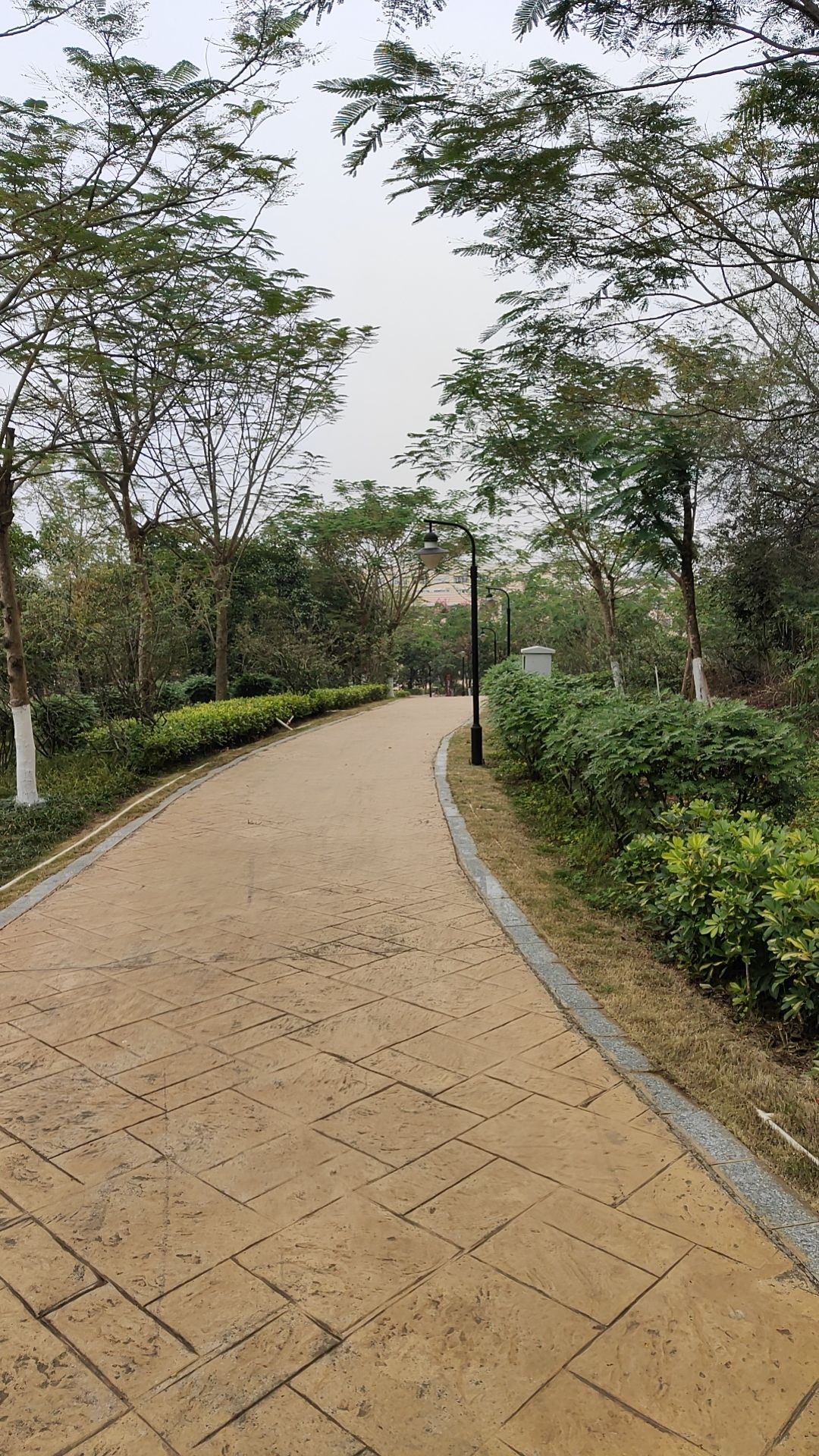 天福岭公园旅行图片 2