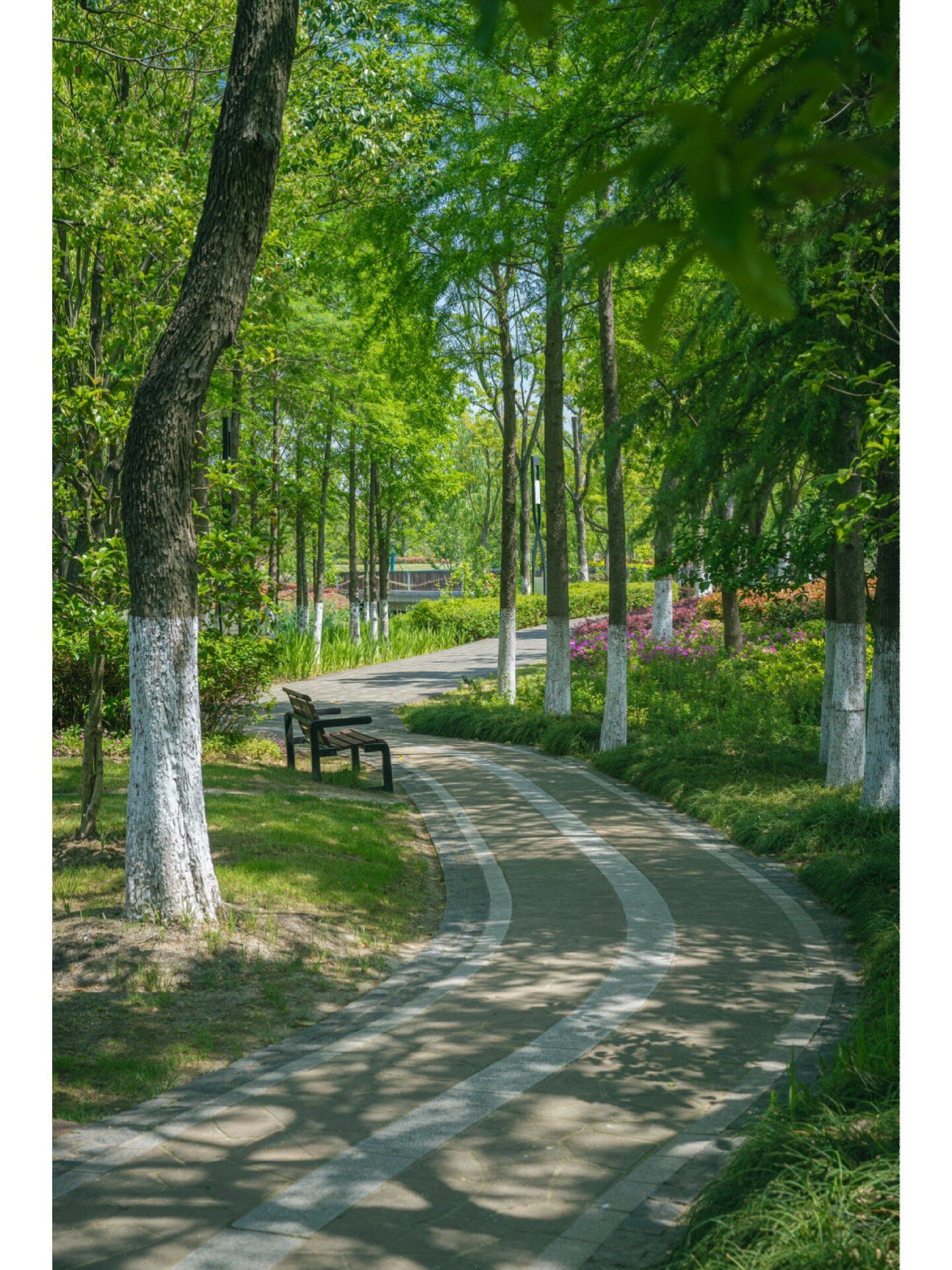 紫琅公园旅行图片 1