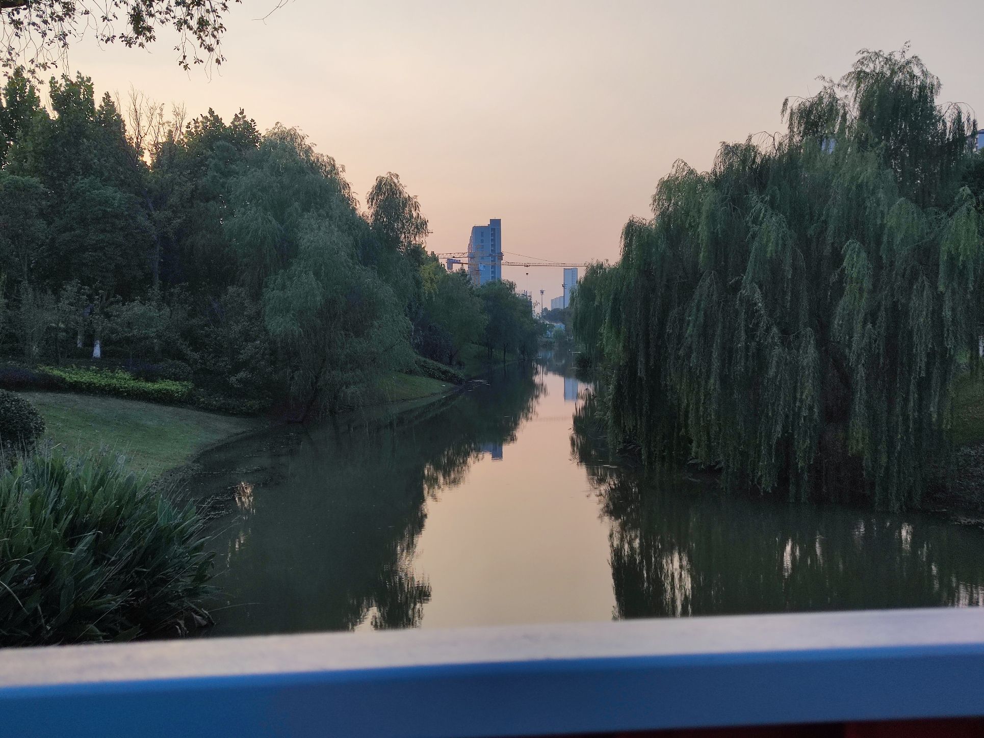 紫琅公园旅行图片 2