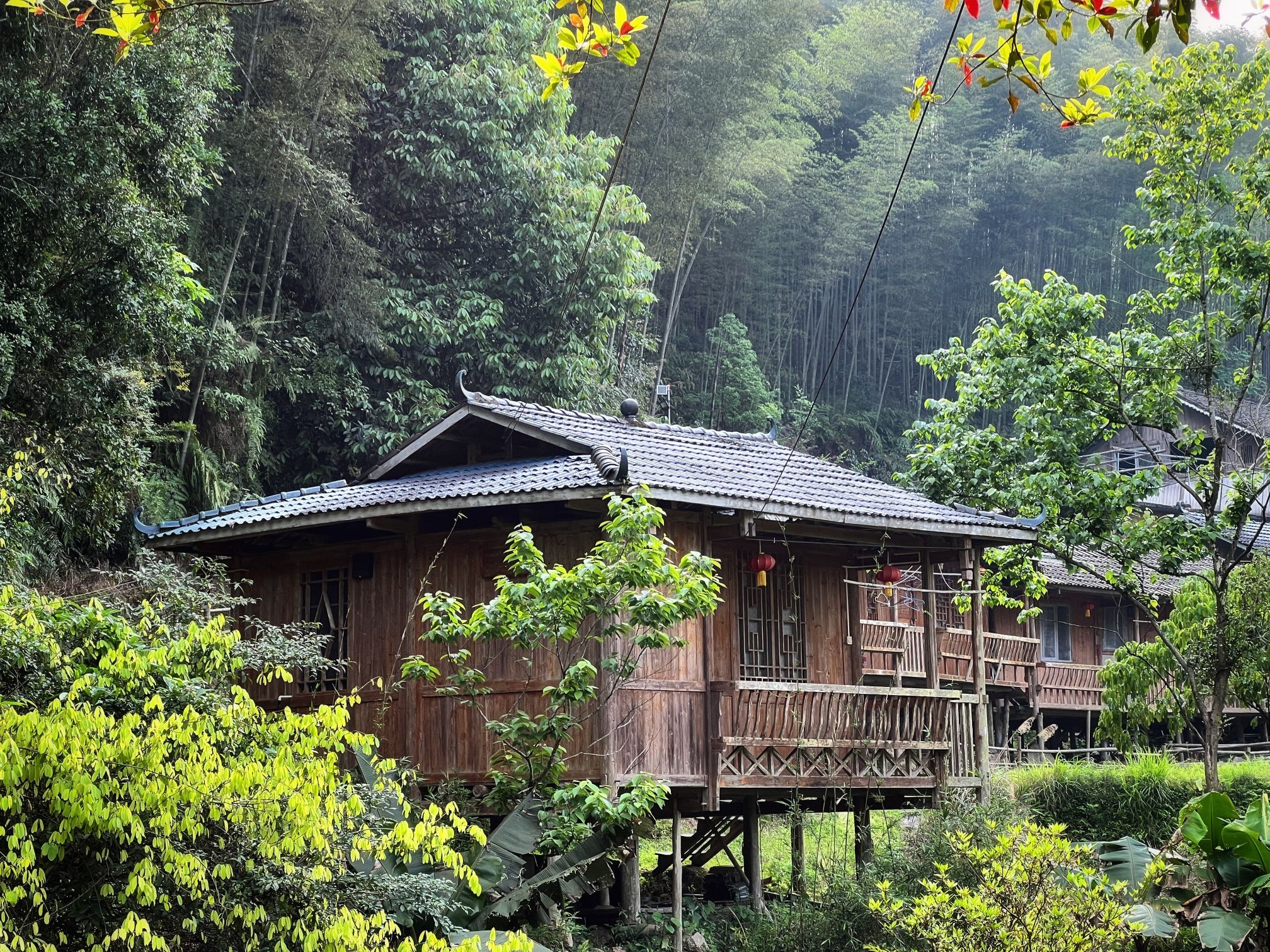 龙宝大峡谷旅行图片 1