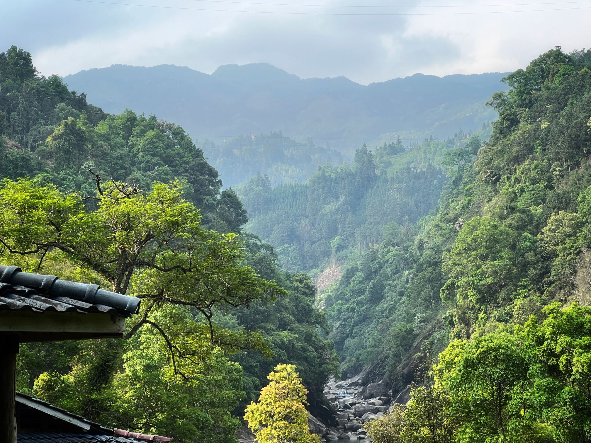 龙宝大峡谷旅行图片 2