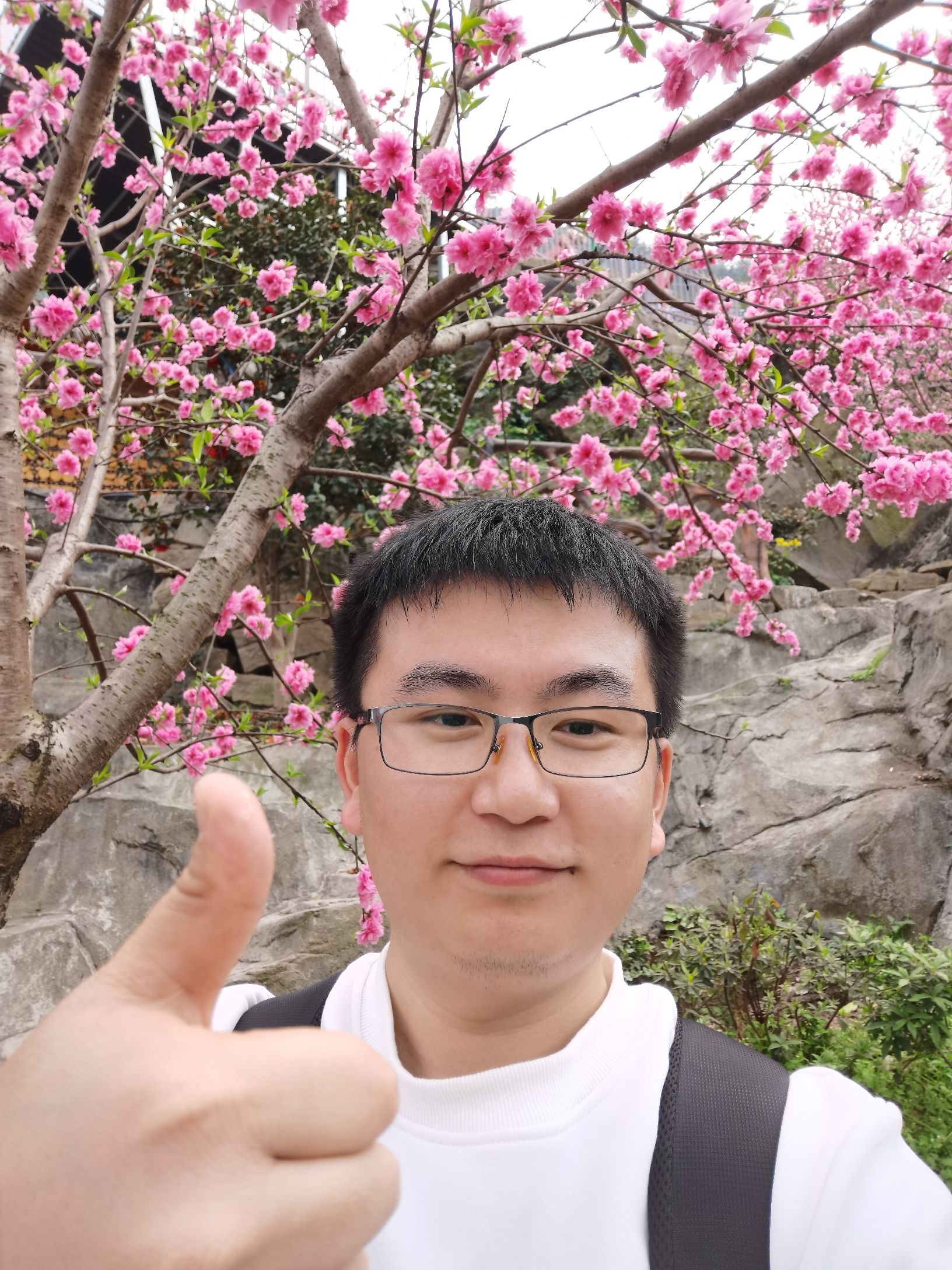 铜锣花谷生态园旅行图片 1