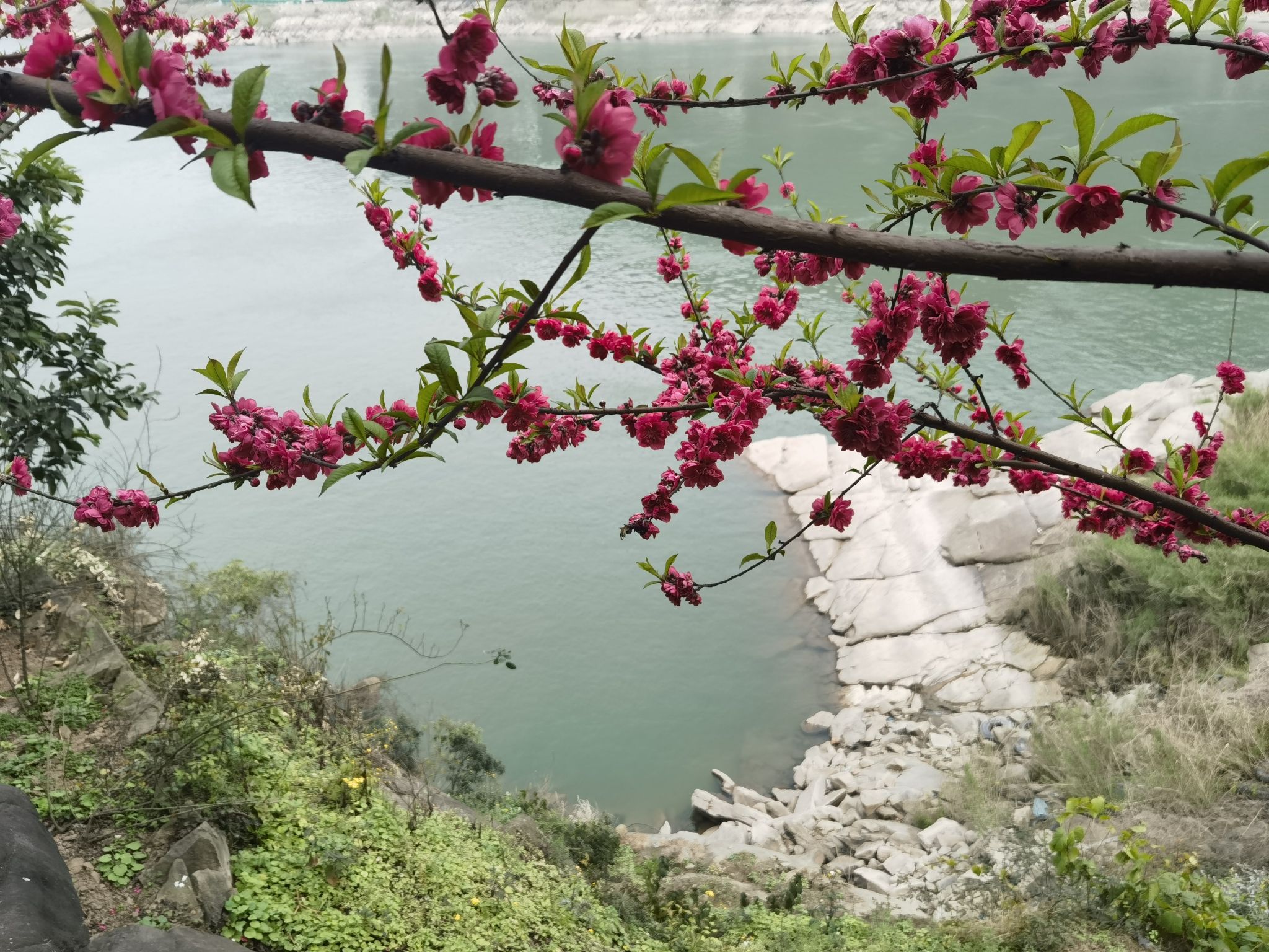 铜锣花谷生态园旅行图片 1