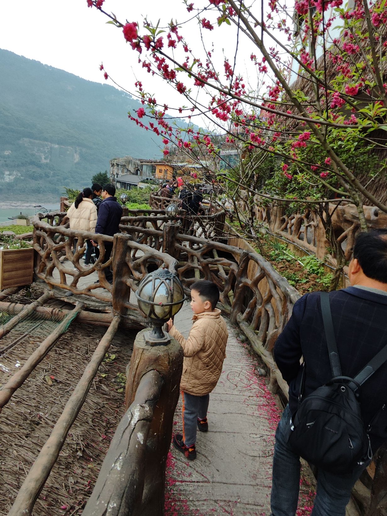 铜锣花谷生态园旅行图片 3