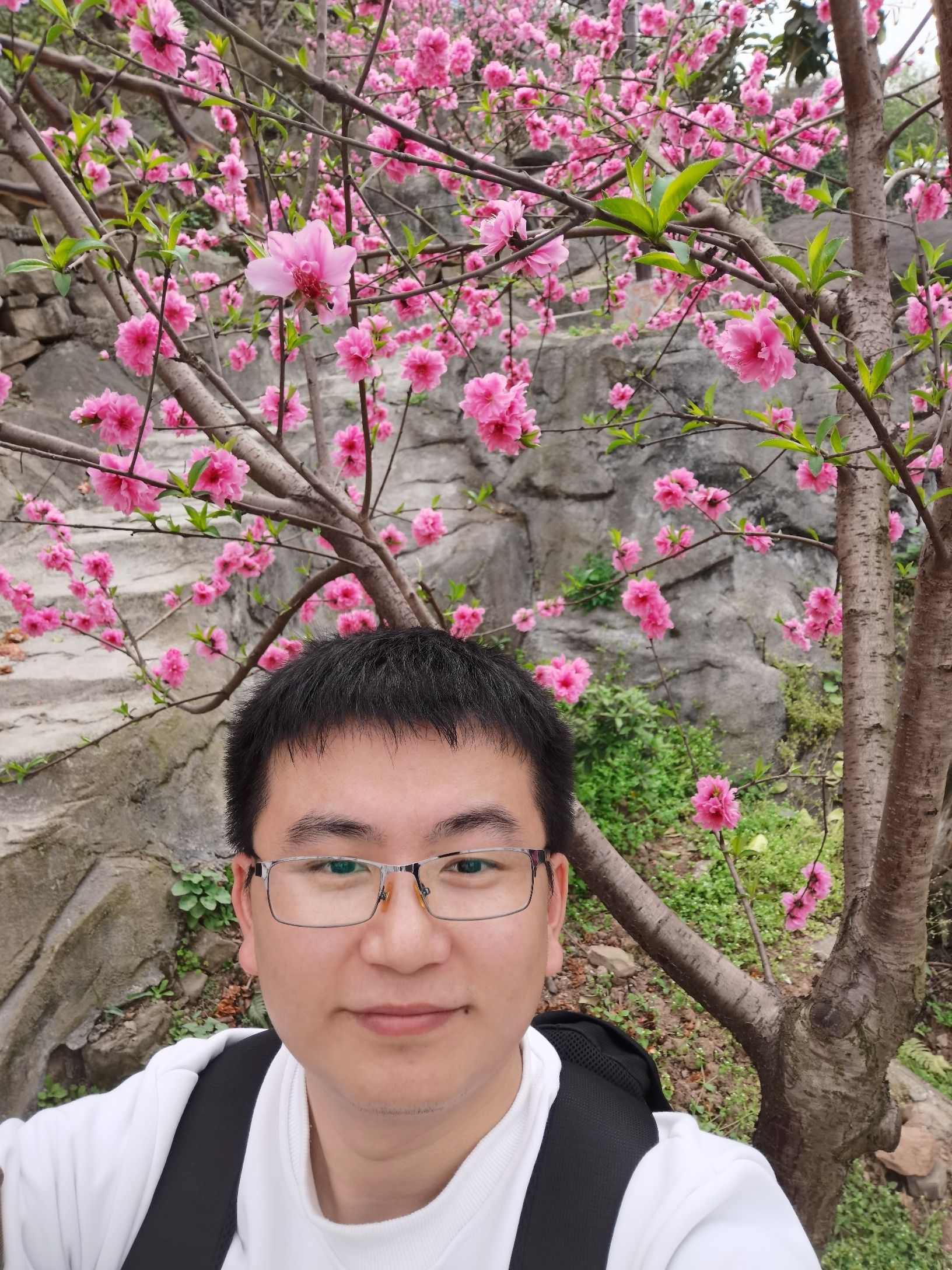 铜锣花谷生态园旅行图片 2