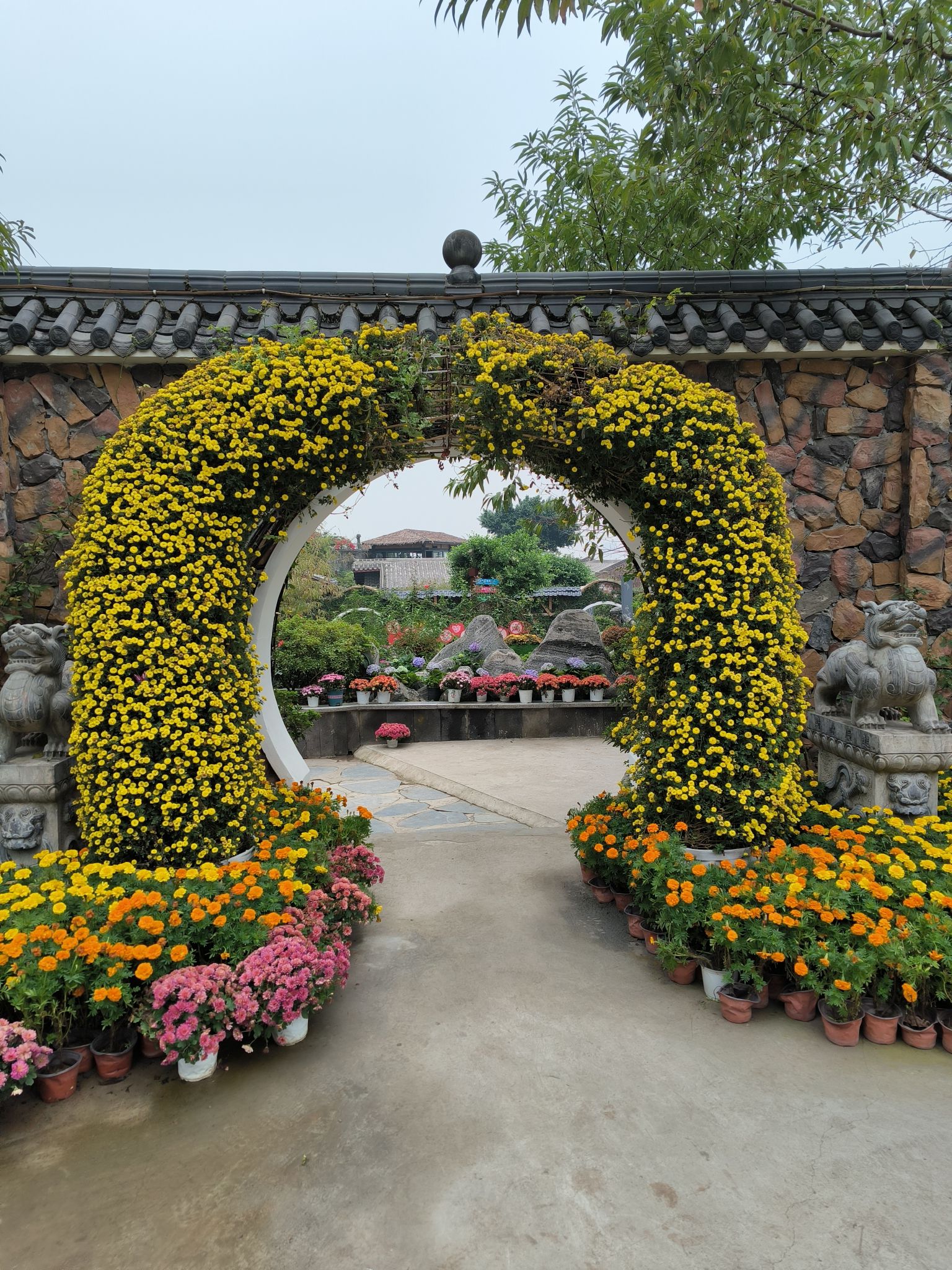 铜锣花谷生态园旅行图片 3