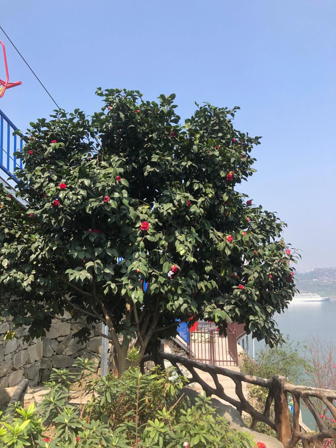 铜锣花谷生态园旅行图片 3