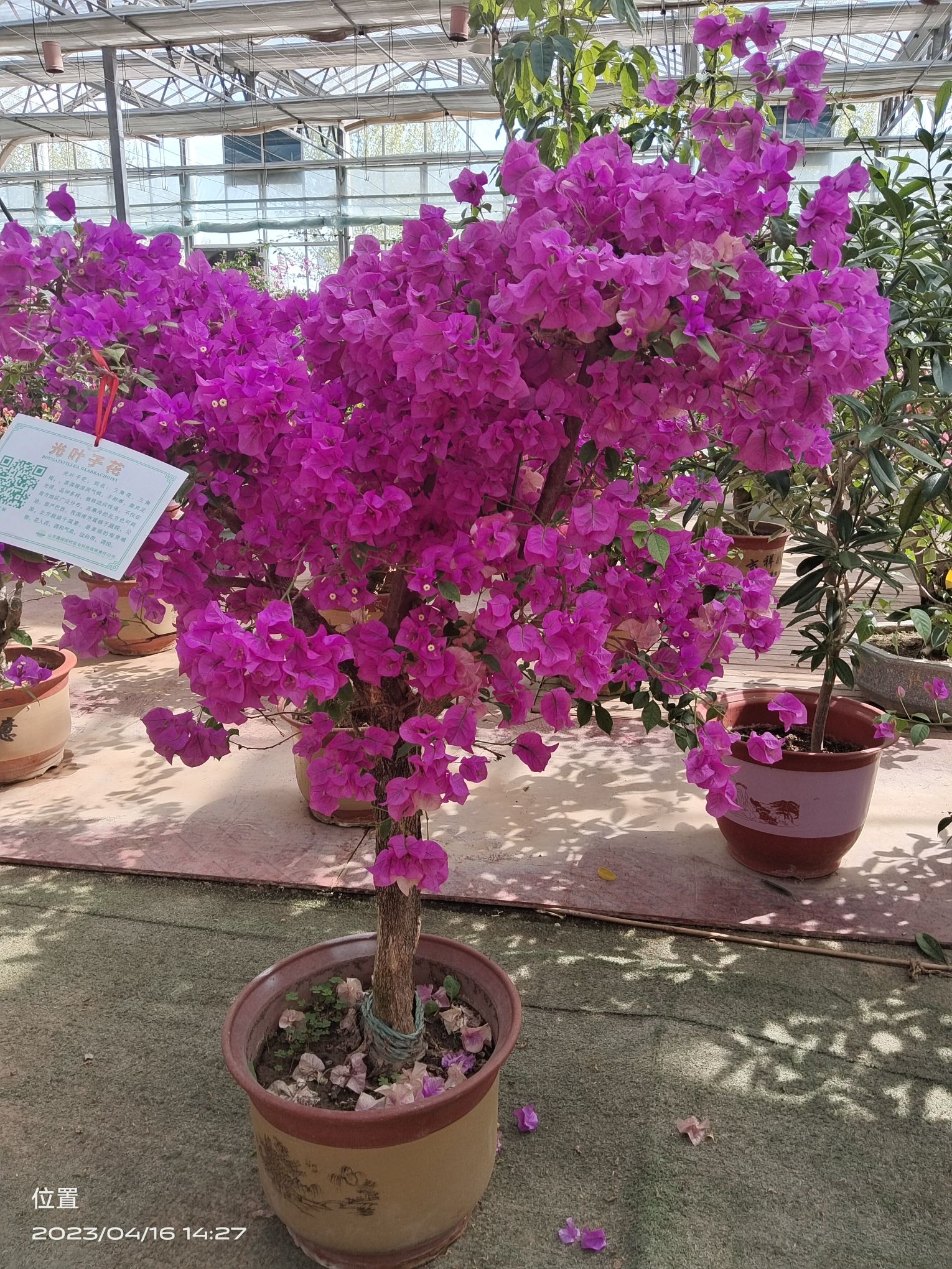 鑫诚田园生态旅游区旅行图片 3