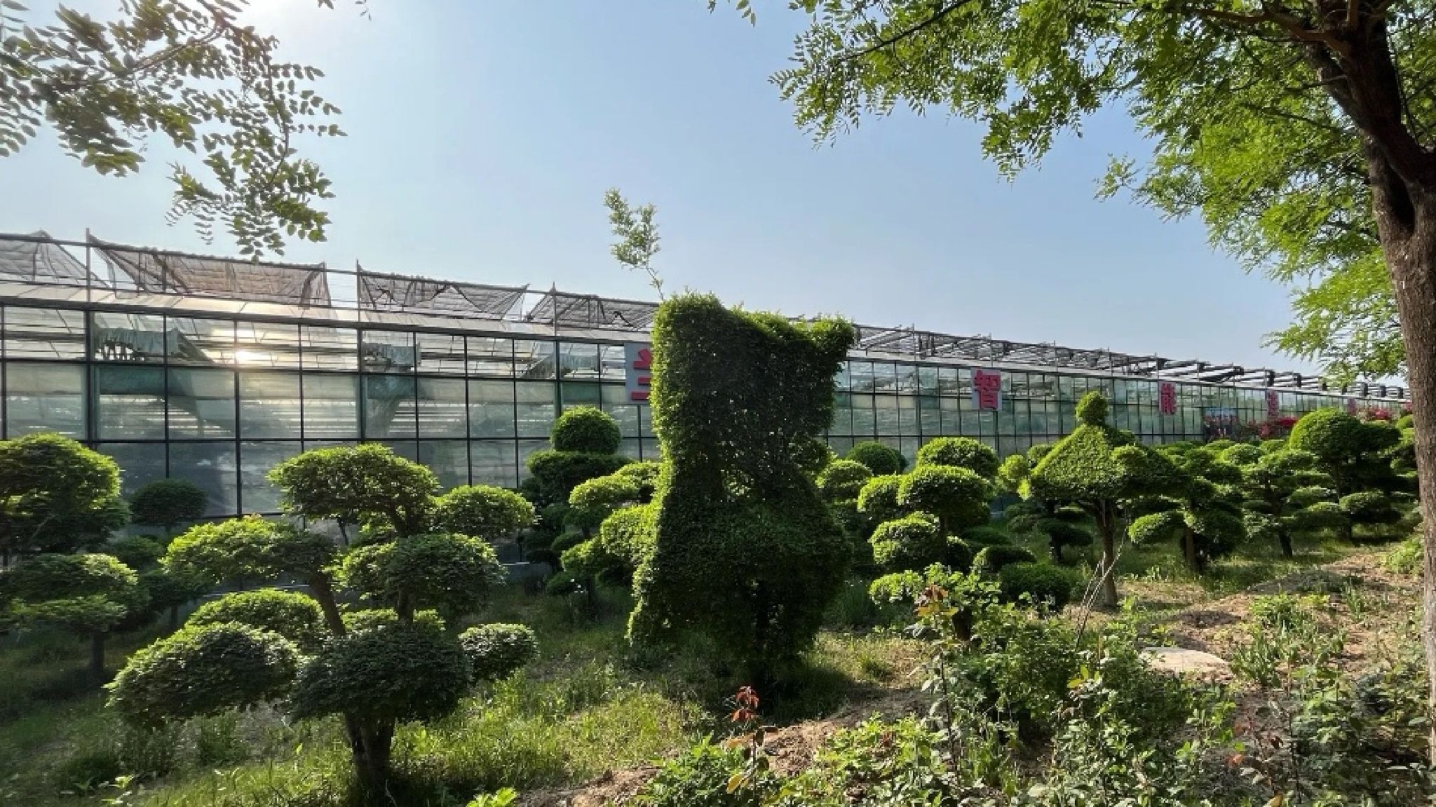 鑫诚田园生态旅游区旅行图片 1