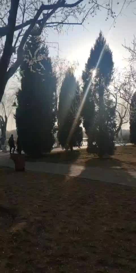 于家务中心公园旅行图片 3