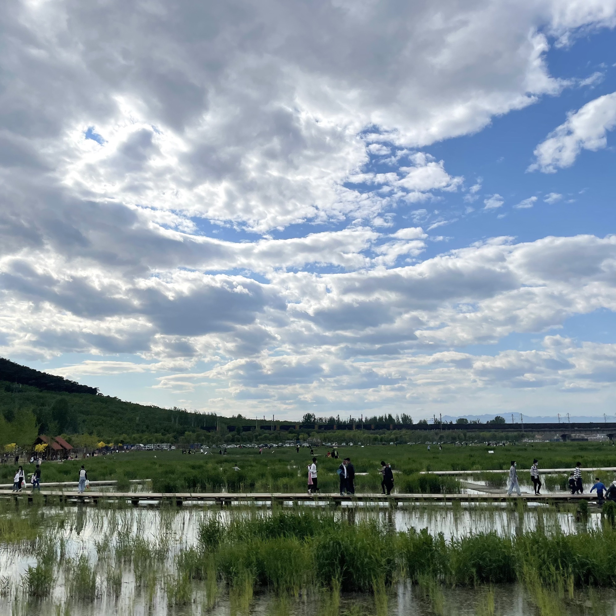 水平口湿地公园旅行图片 1