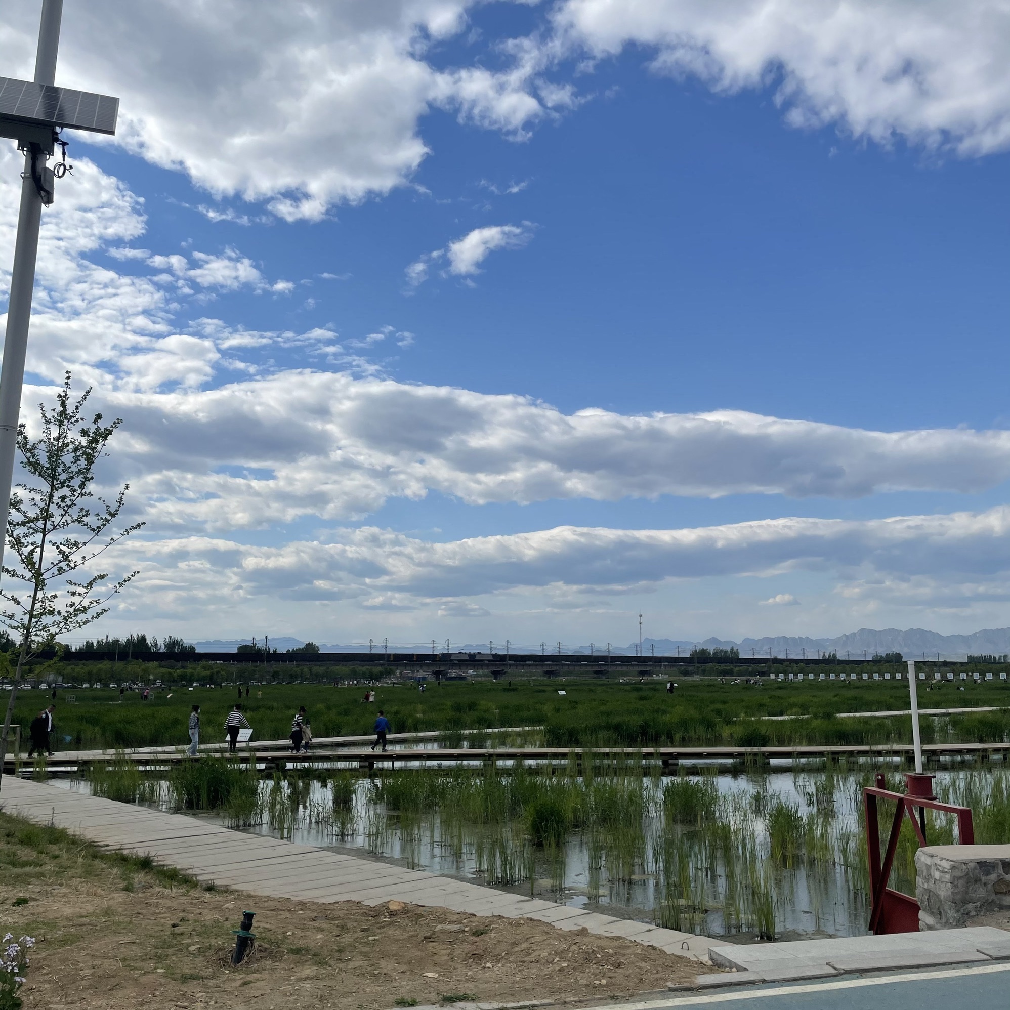 水平口湿地公园旅行图片 2
