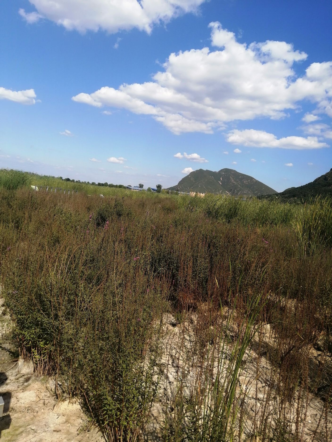水平口湿地公园旅行图片 2