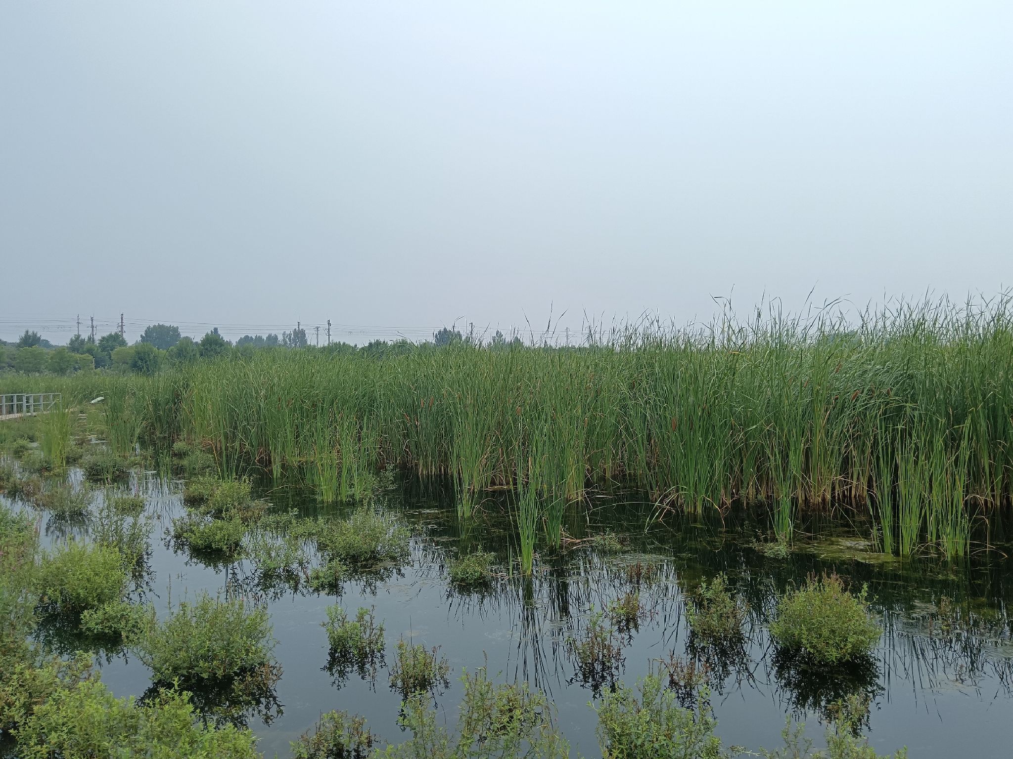 水平口湿地公园旅行图片 1