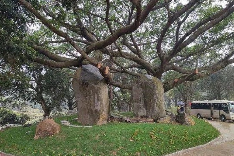 佛子岭合掌石旅行图片 1