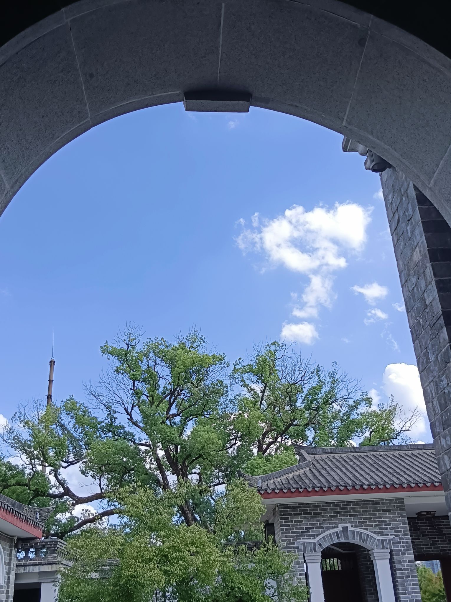 东洲岛旅行图片 3