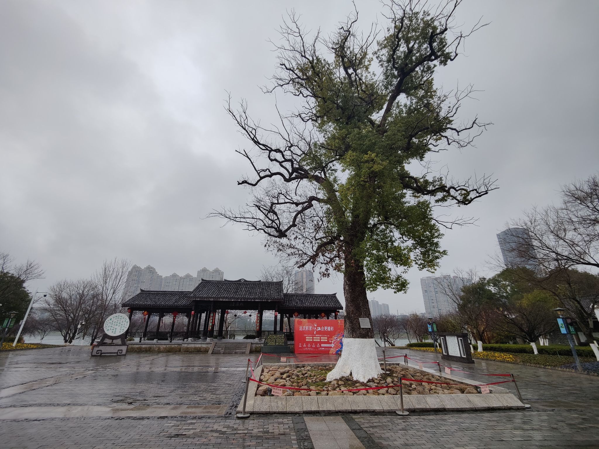 东洲岛旅行图片 1