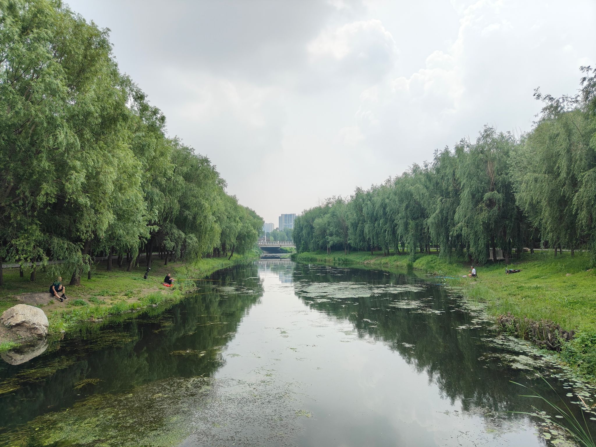 珍珠溪公园旅行图片 3