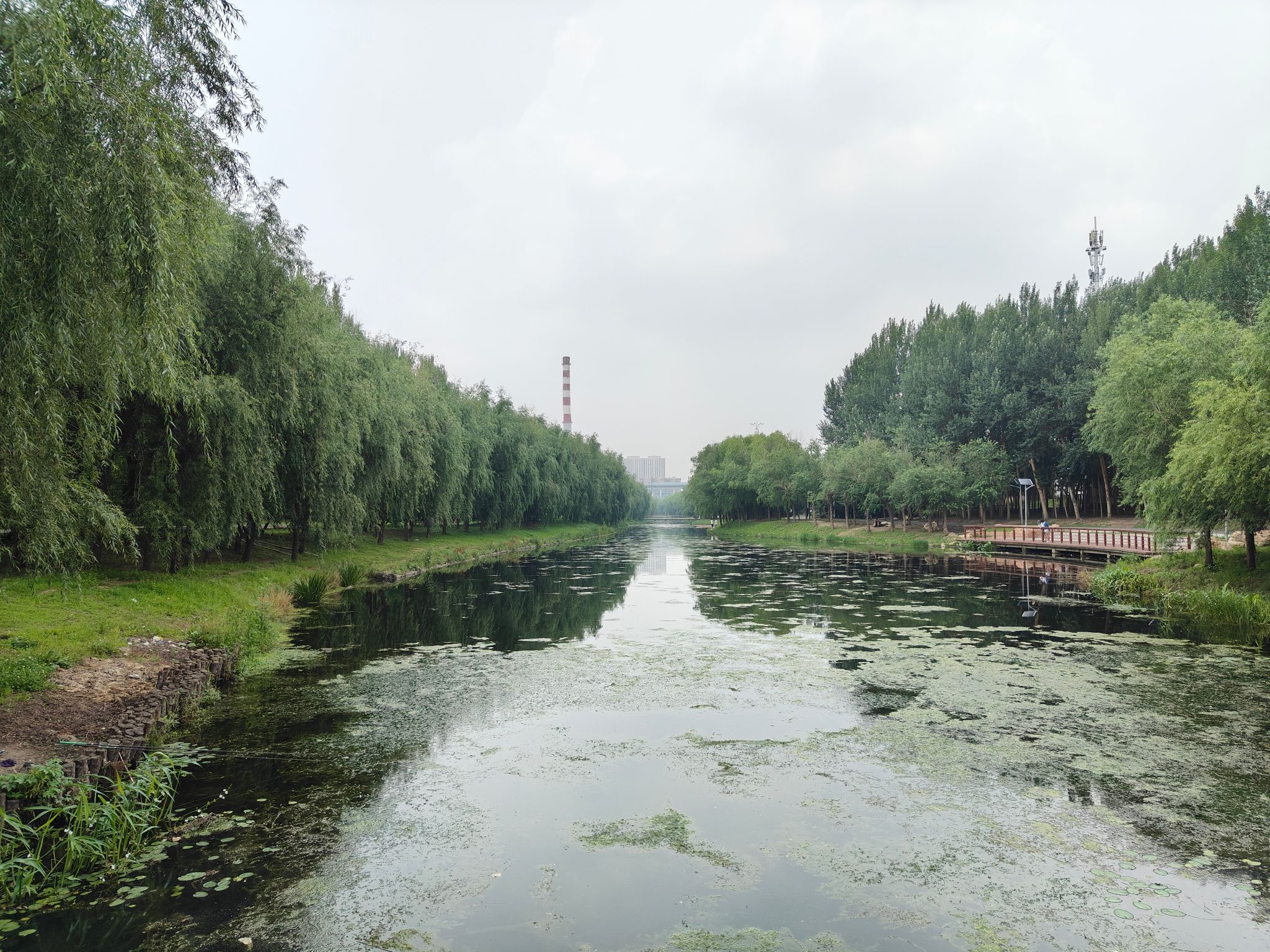 珍珠溪公园旅行图片 2