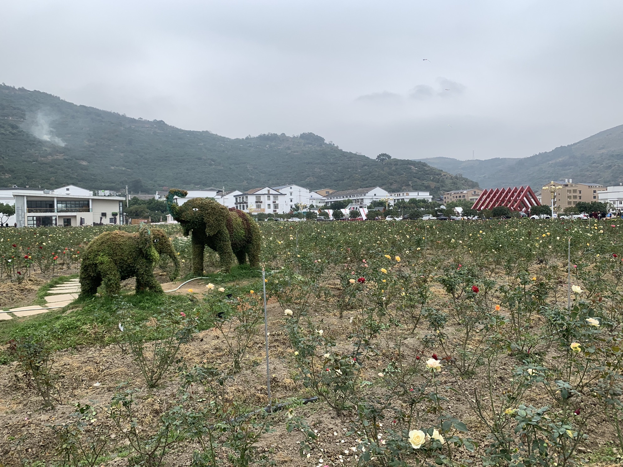 四季柚主题公园旅行图片 3