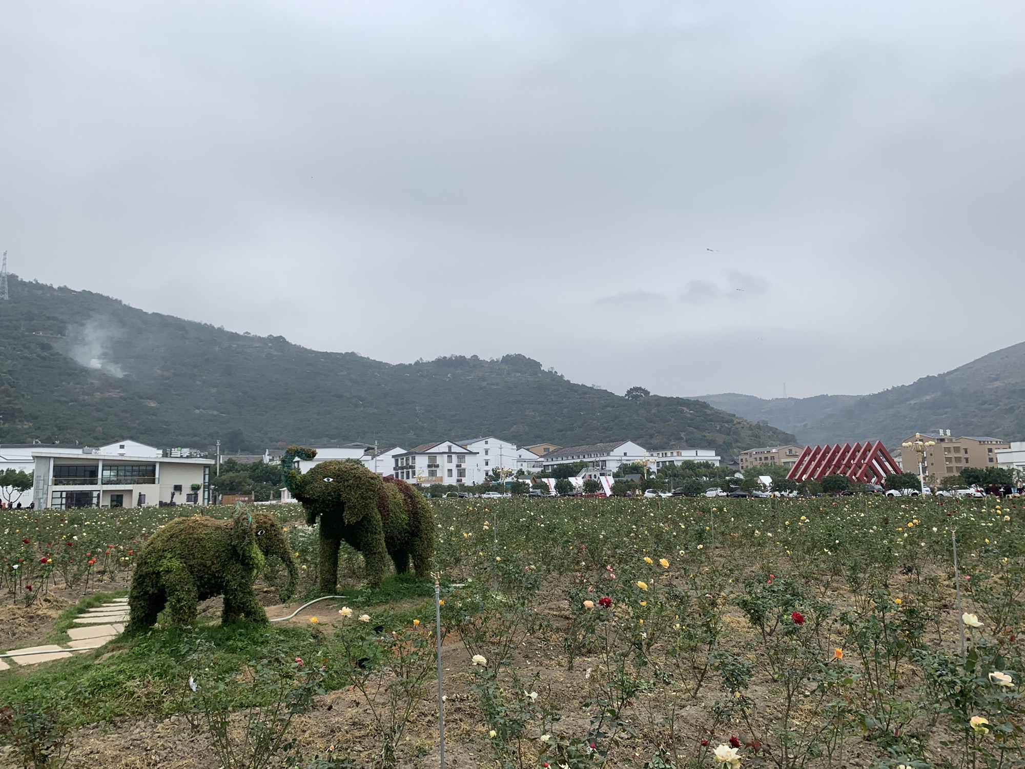 四季柚主题公园旅行图片 2