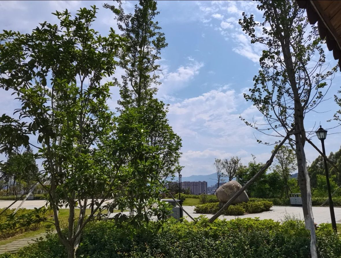 缨溪公园旅行图片 2