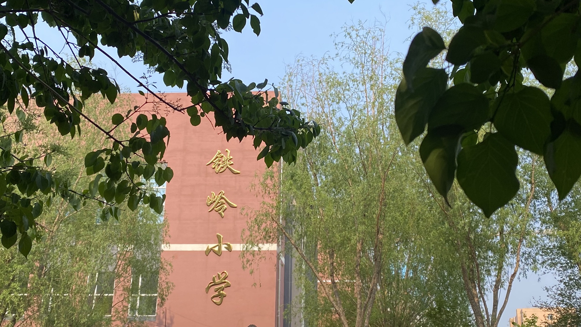 鲁商铁岭小学分校