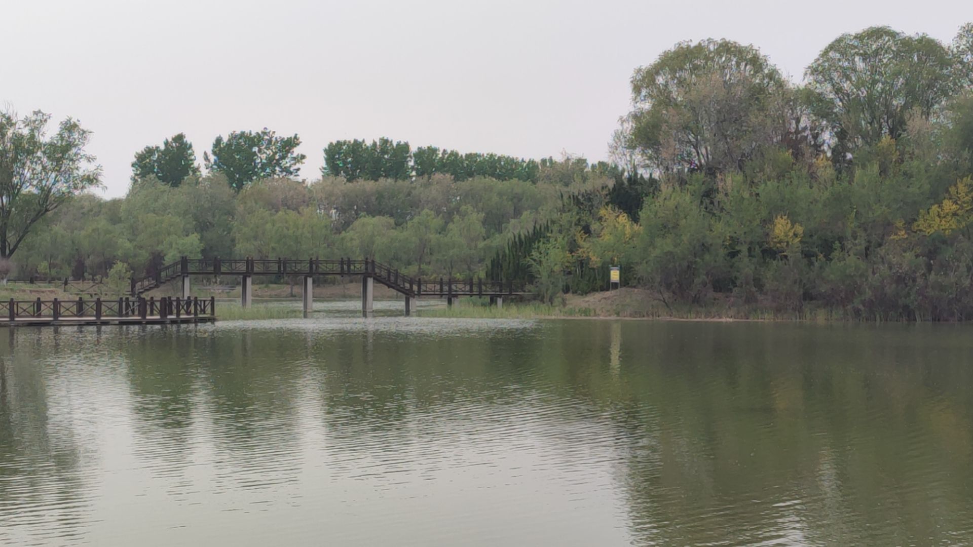 东营龙栖湖省级湿地公园旅行图片 2