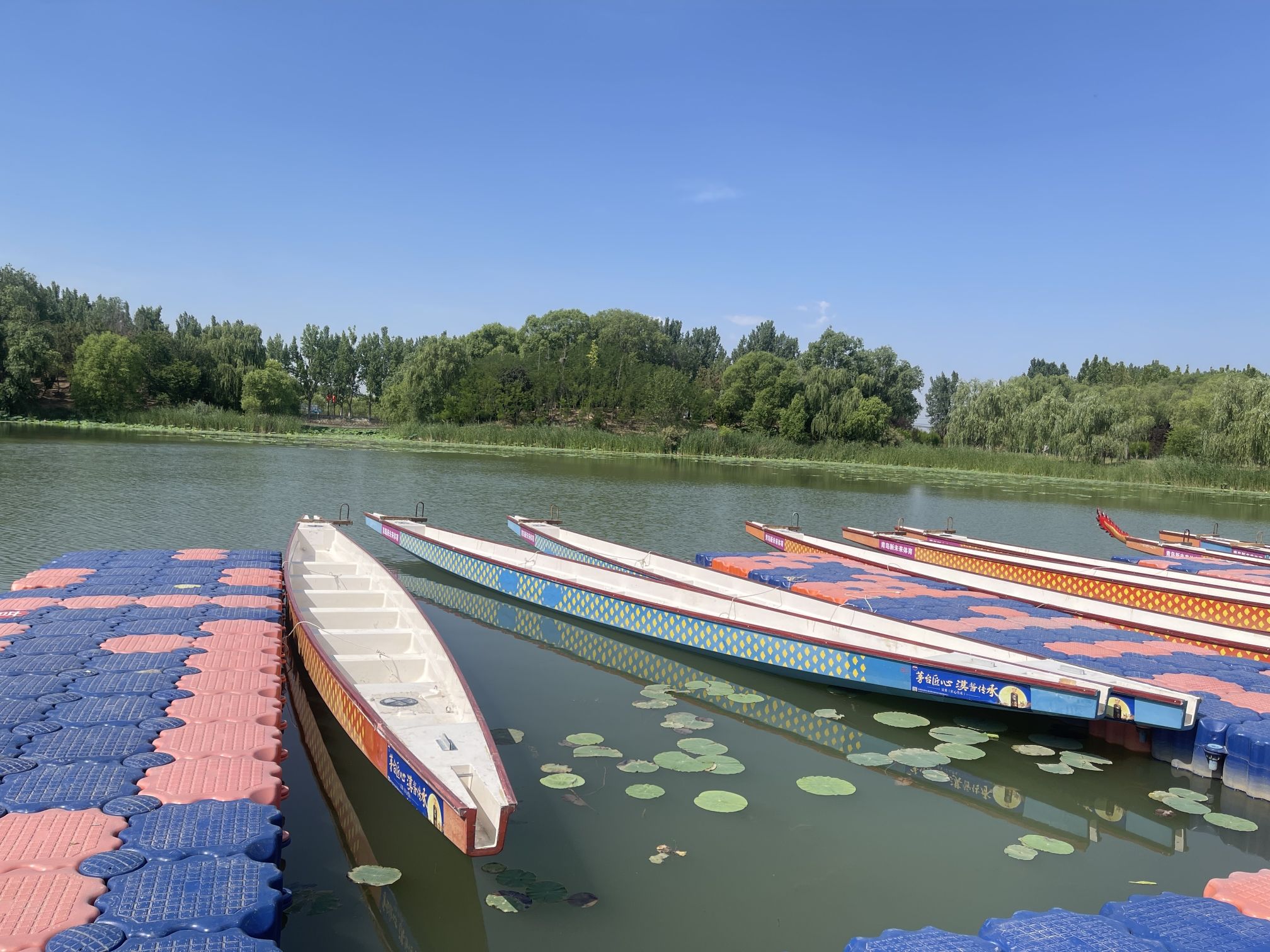 东营龙栖湖省级湿地公园