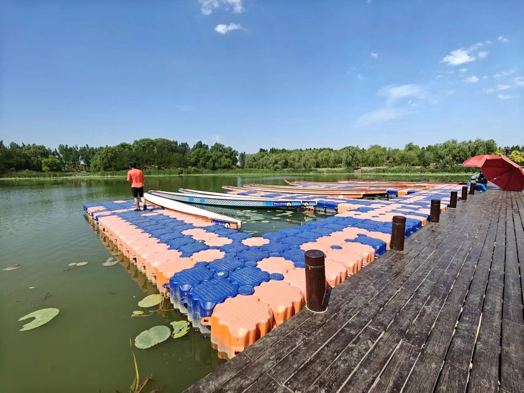 东营龙栖湖省级湿地公园旅行图片 3