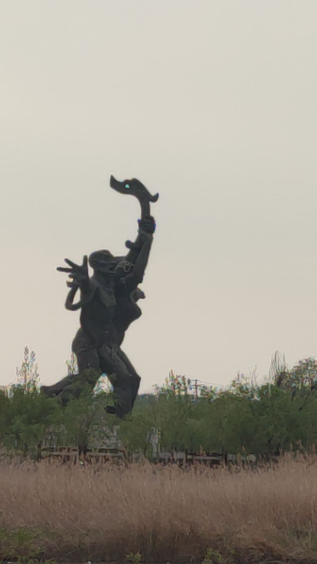 东营龙栖湖省级湿地公园旅行图片 3