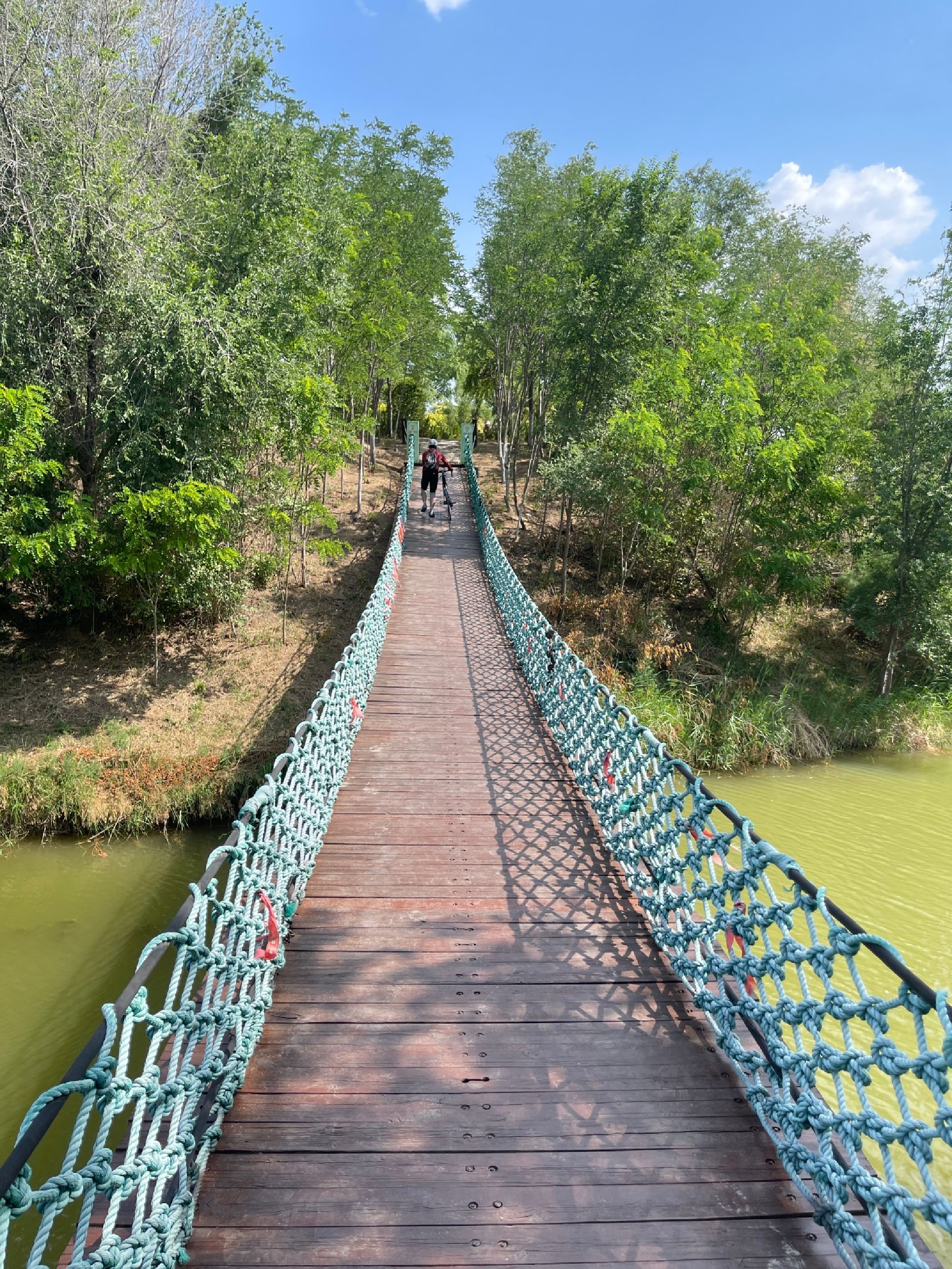东营龙栖湖省级湿地公园