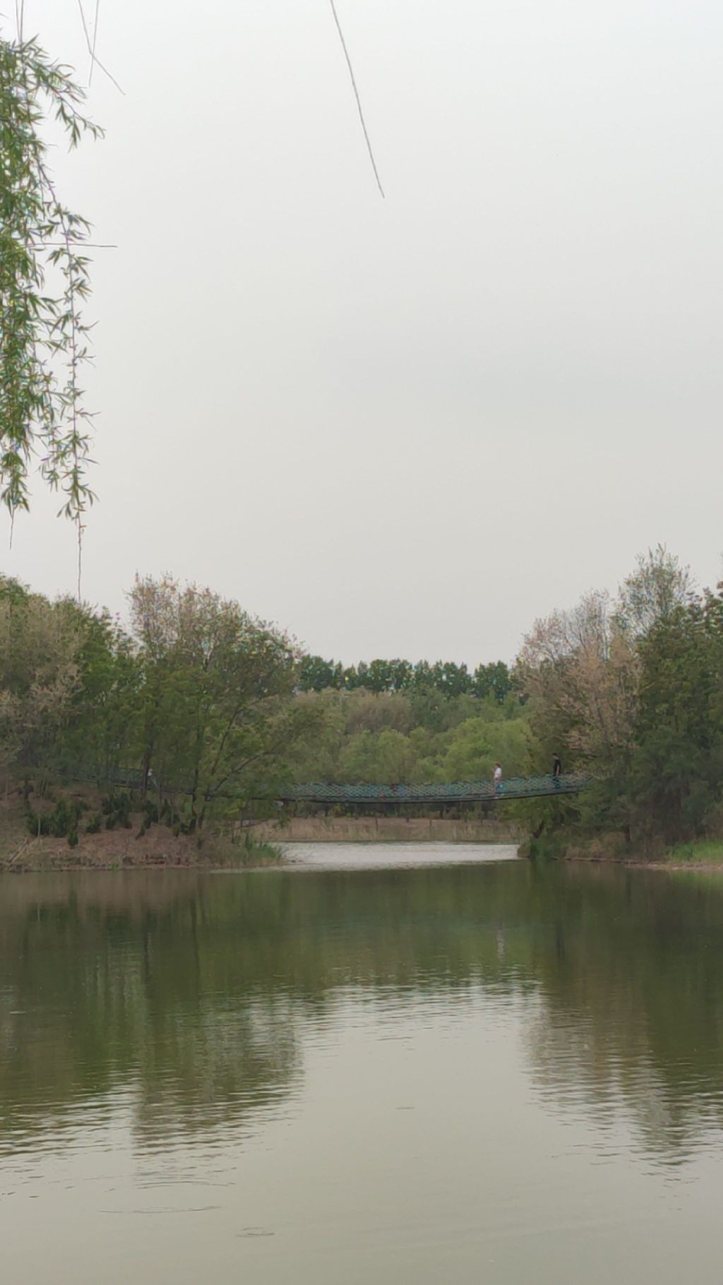 东营龙栖湖省级湿地公园旅行图片 1