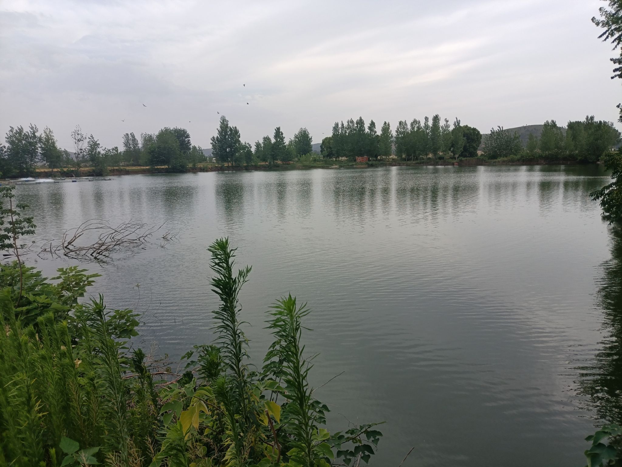 芦花湖风景区旅行图片 2