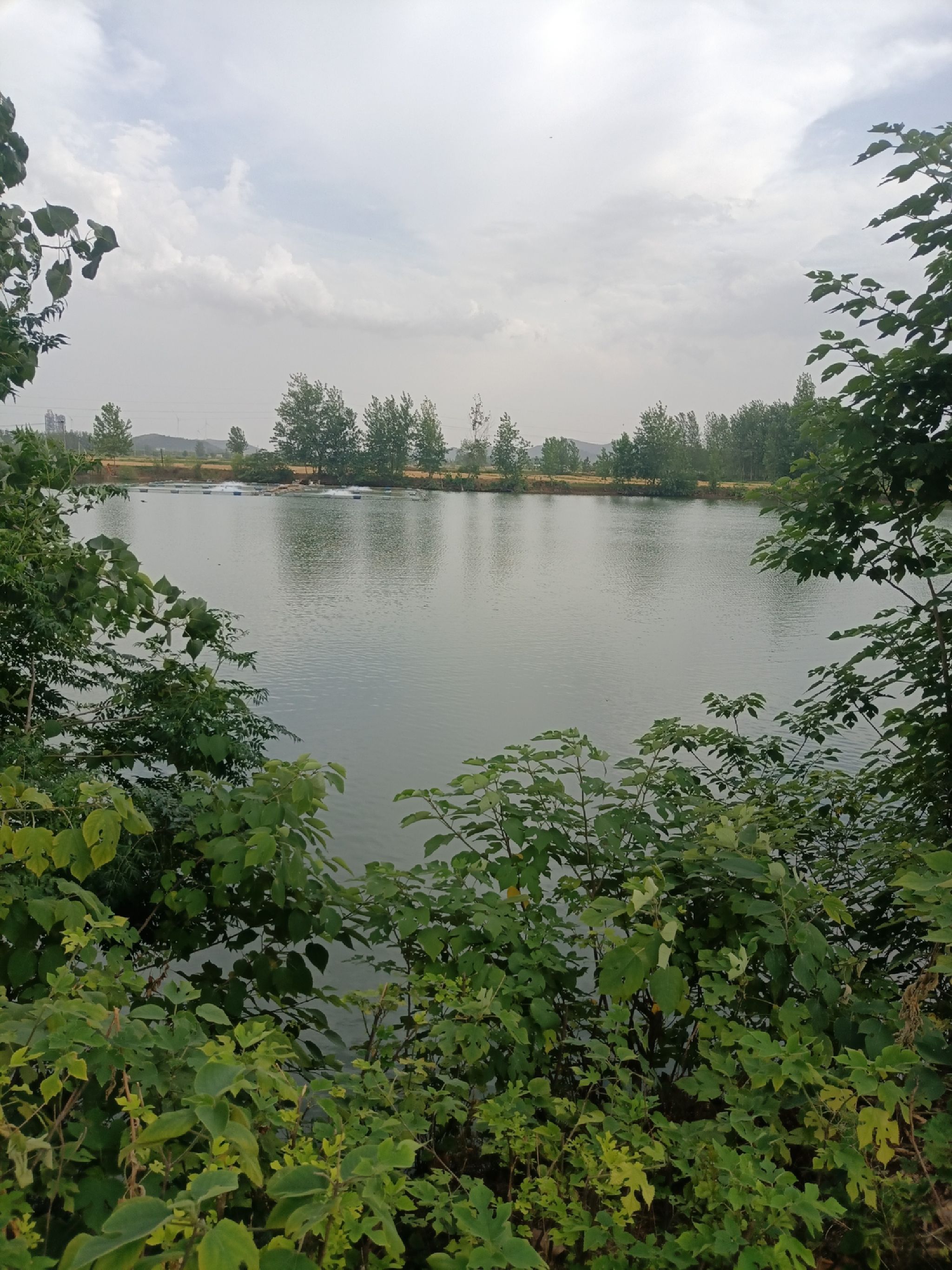 芦花湖风景区旅行图片 1