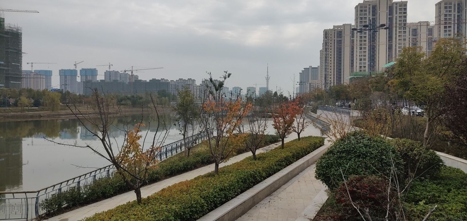 市民公园