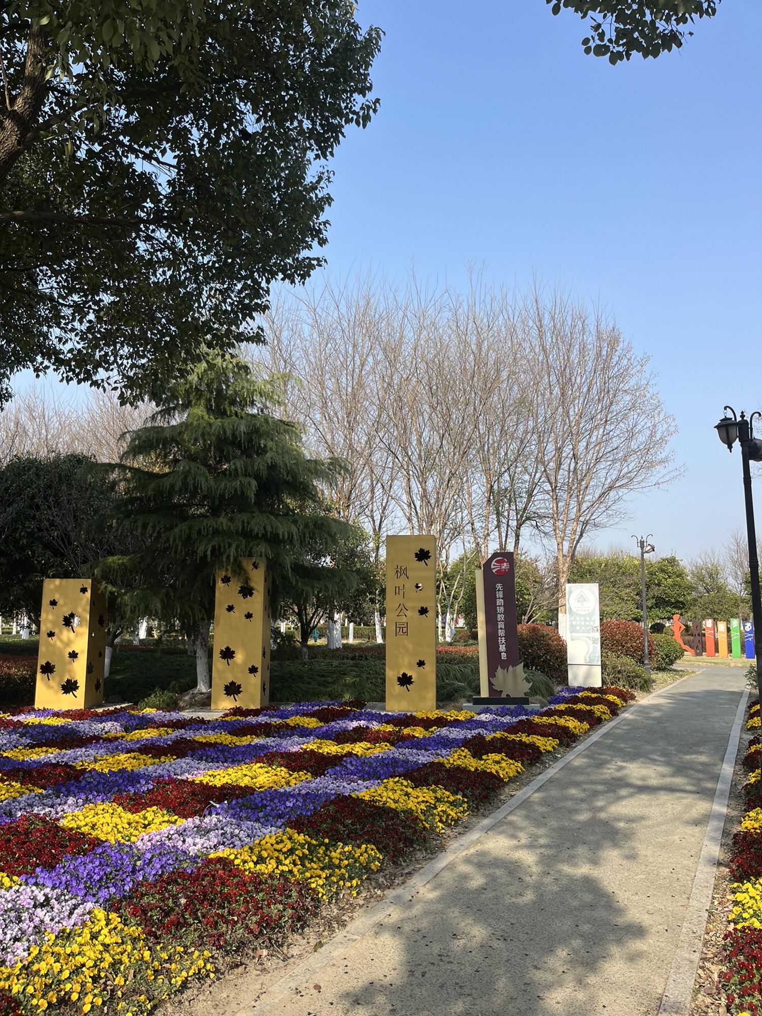 枫叶公园旅行图片 2