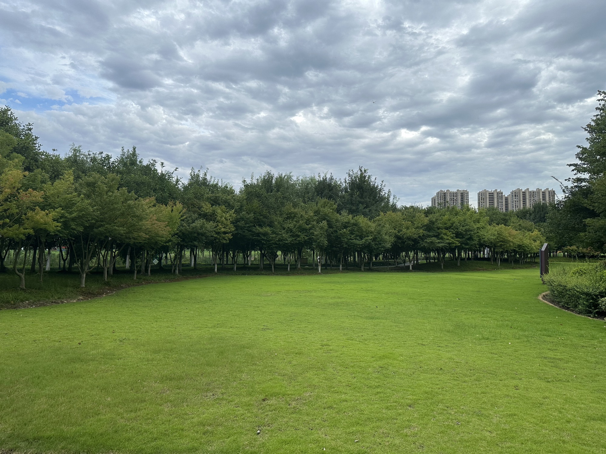 枫叶公园旅行图片 3