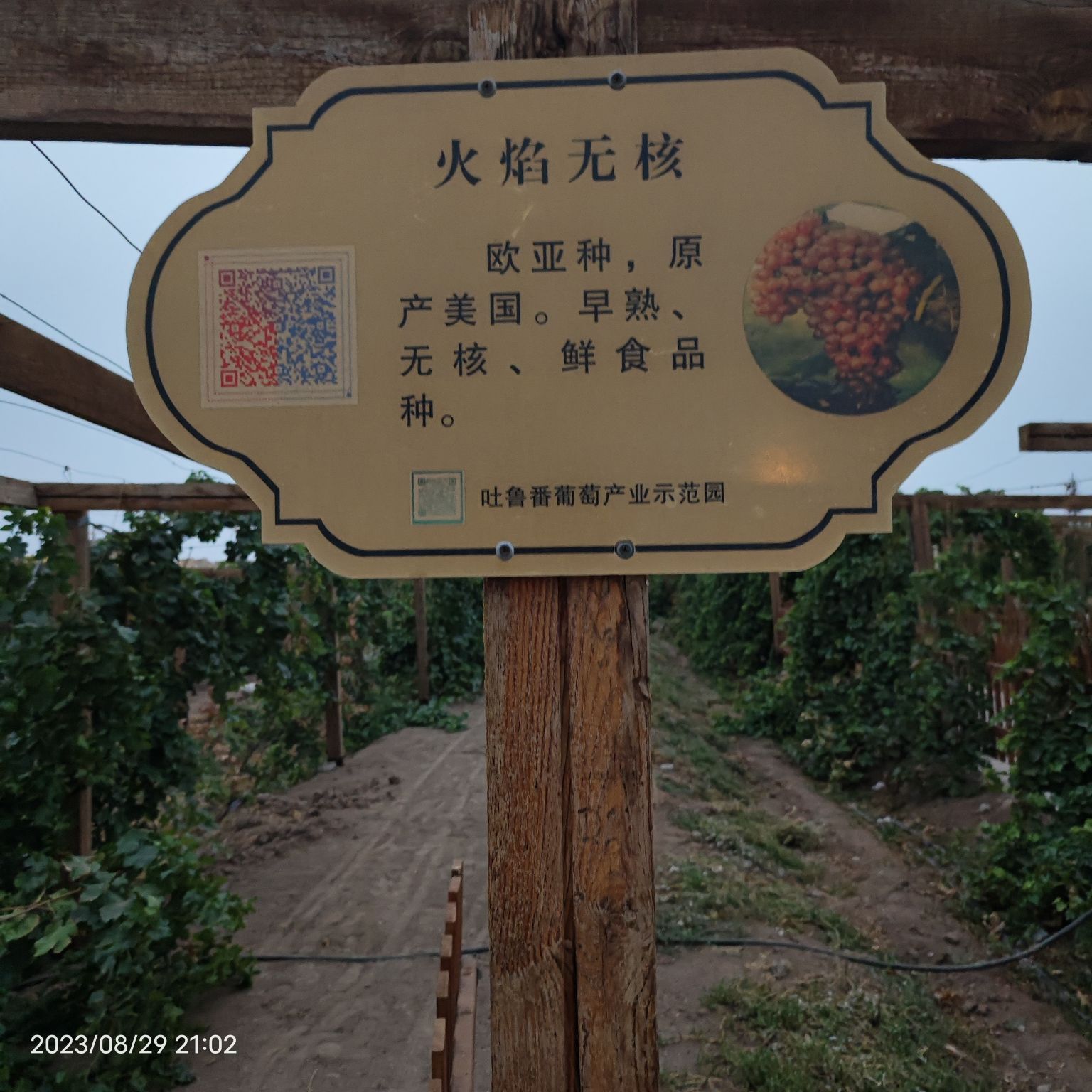 长沙葡萄公园