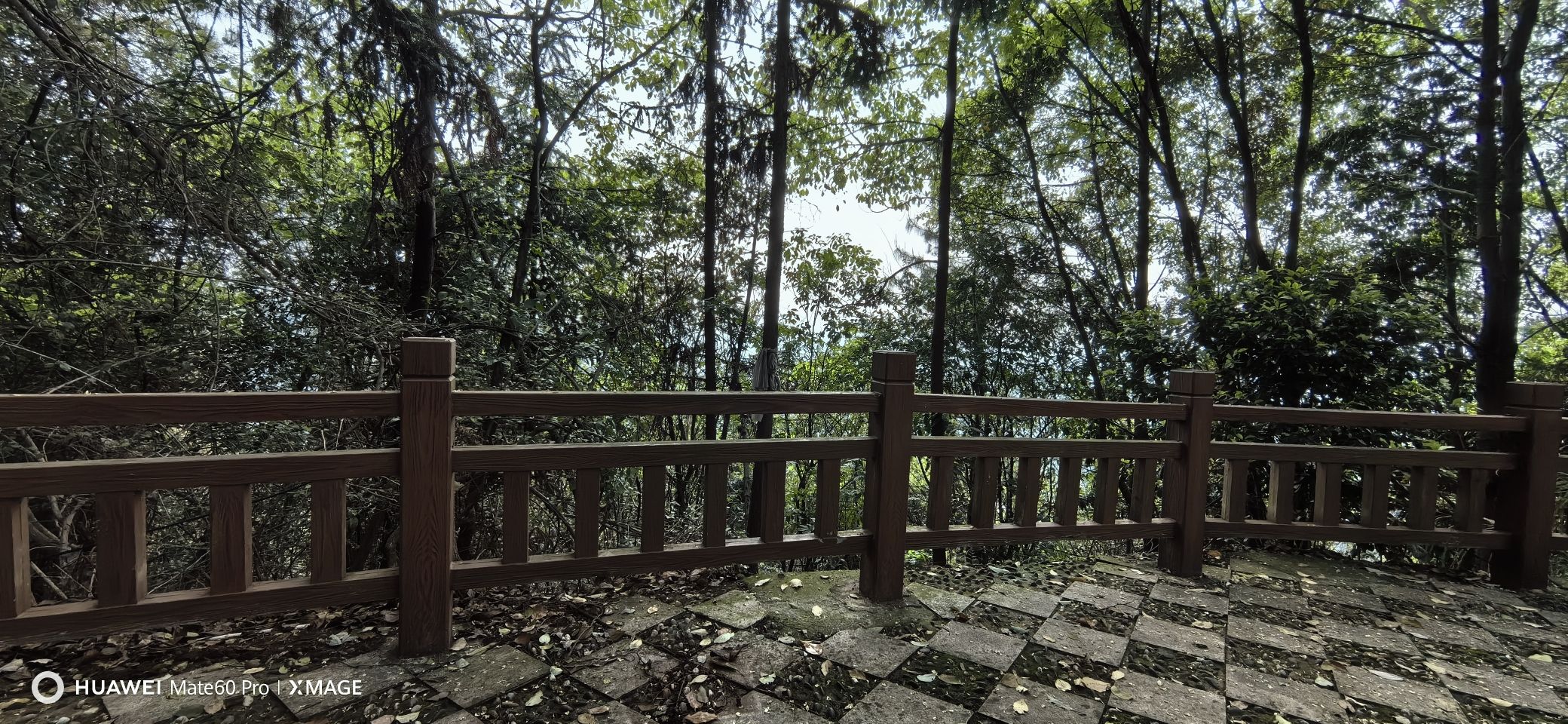 大学城观景平台旅行图片 2