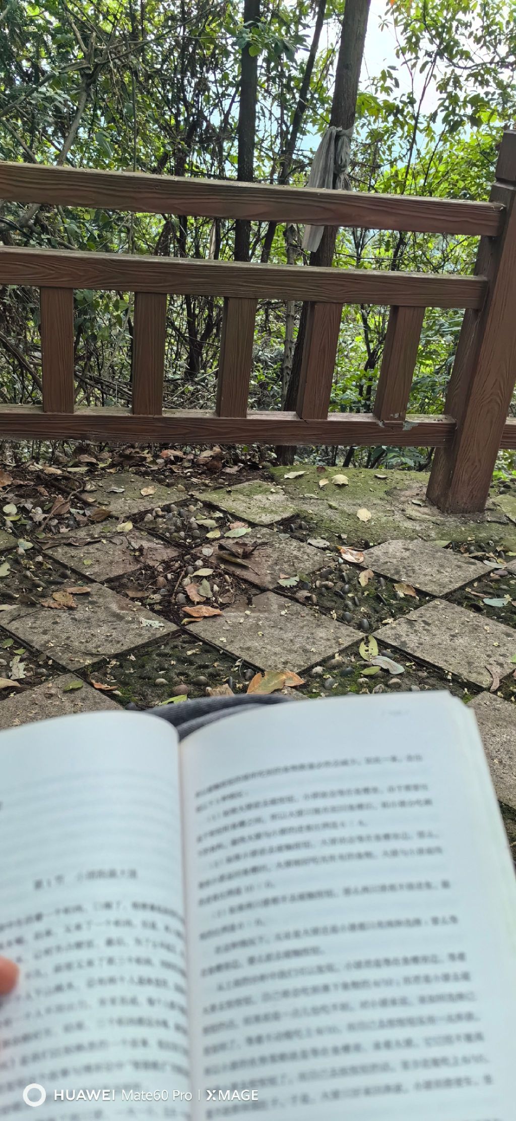 大学城观景平台旅行图片 1