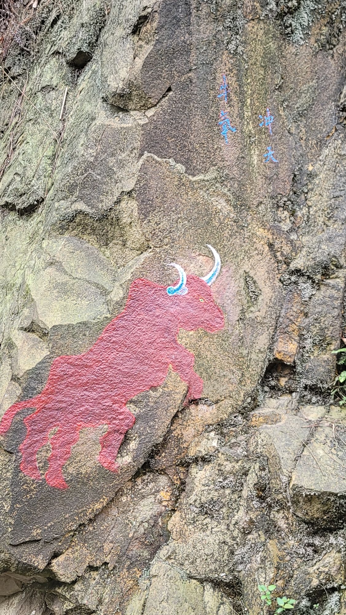 大学城观景平台旅行图片 3