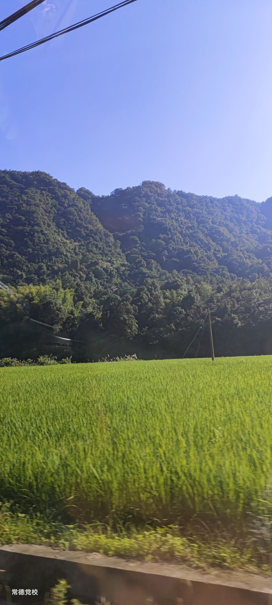 苗叶溪深潭旅行图片 2