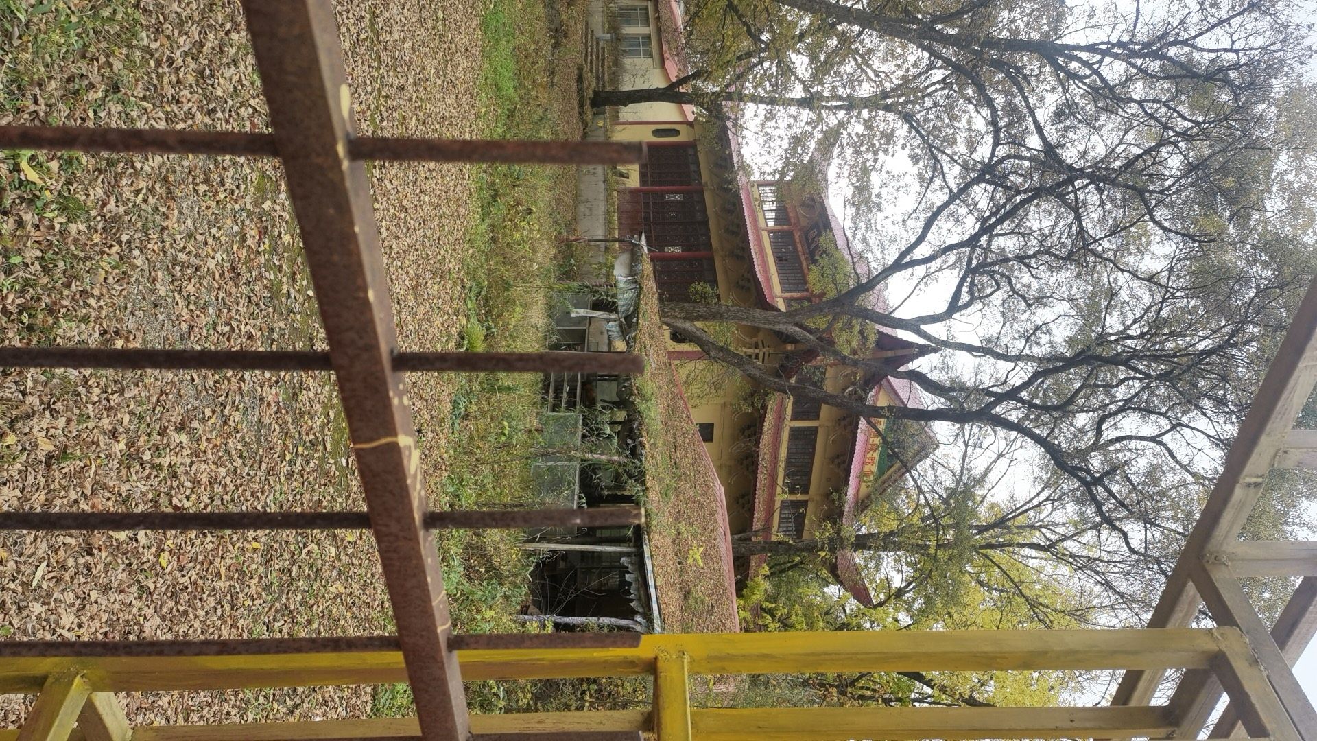 演通讲寺实景照片