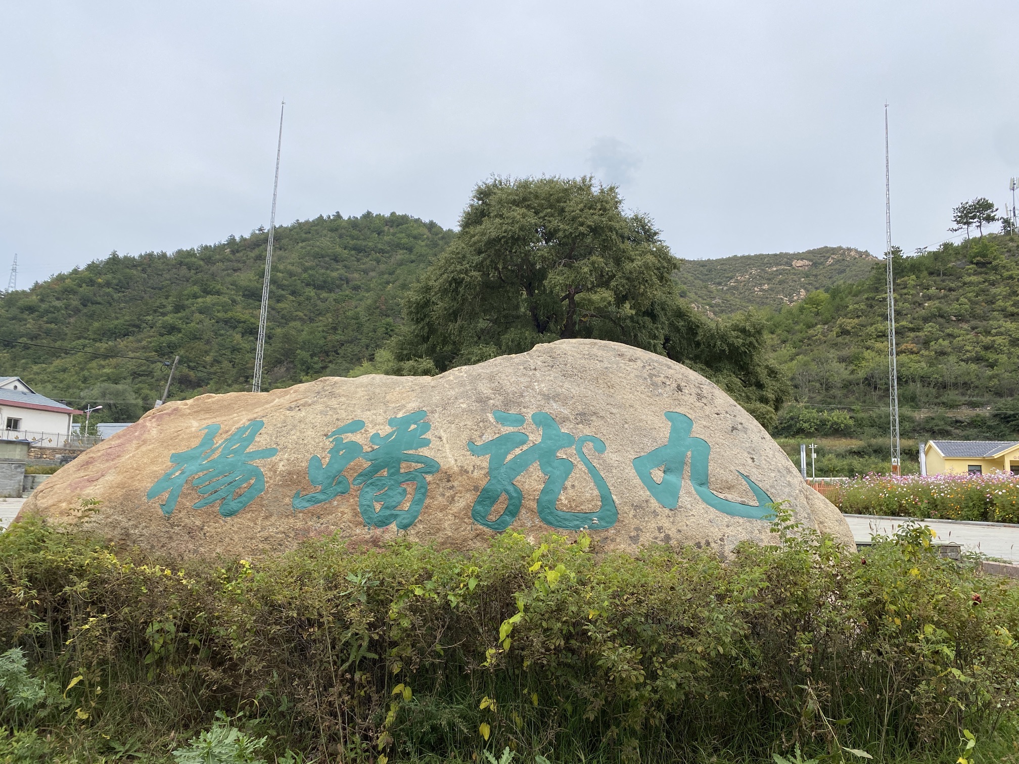 九龙蟠杨旅行图片 1