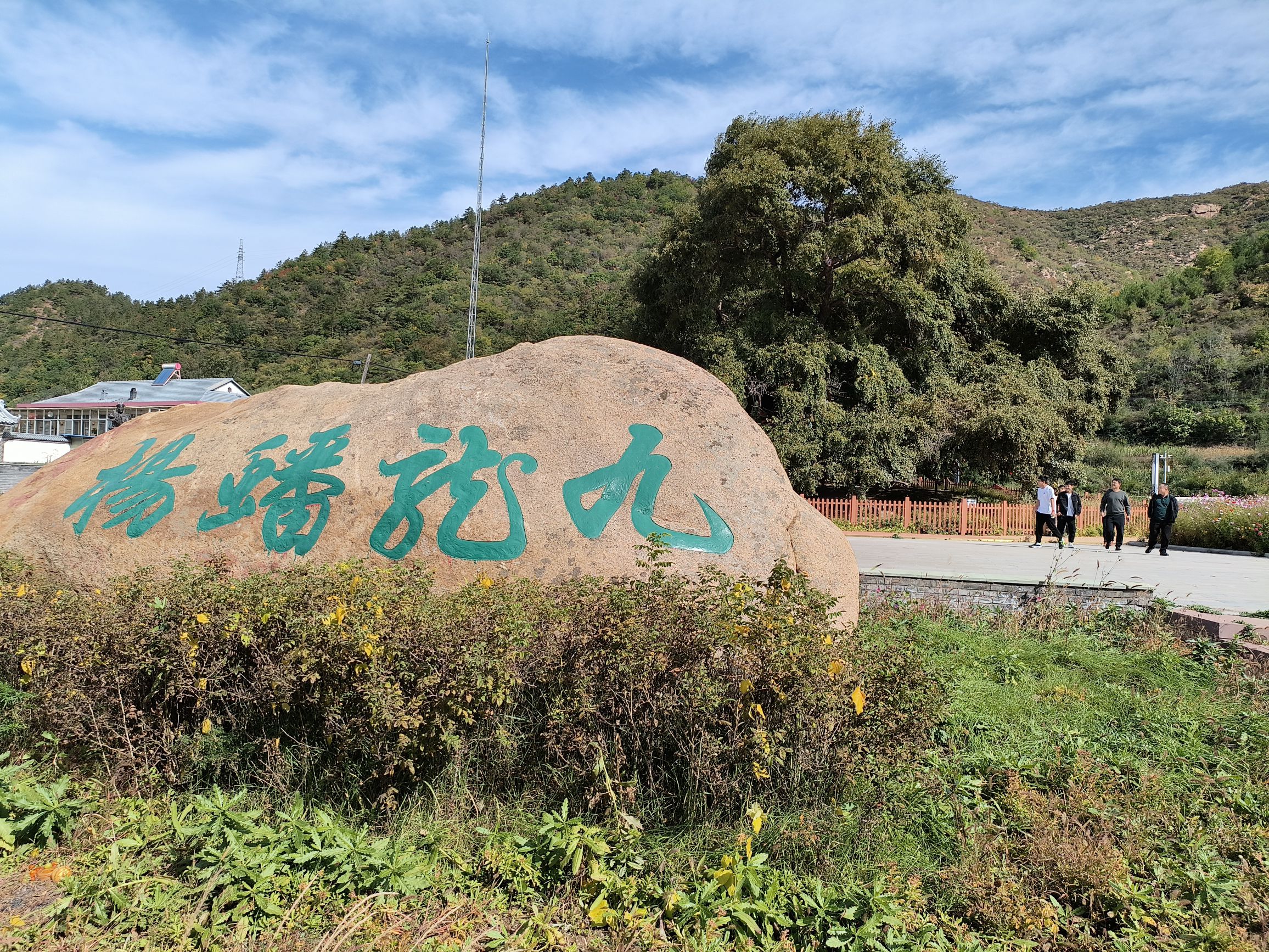 九龙蟠杨旅行图片 1