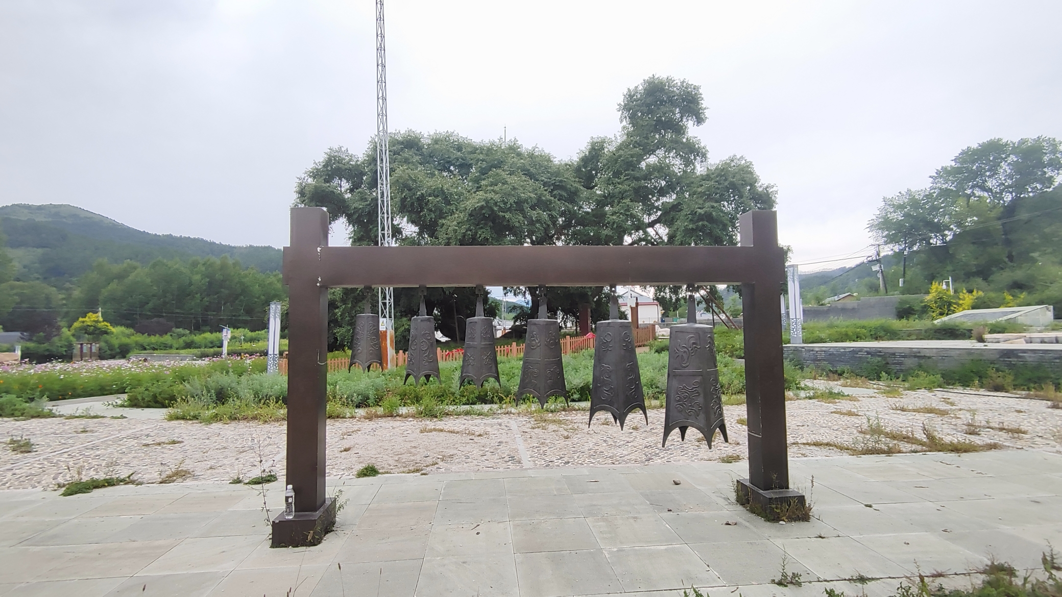 九龙蟠杨旅行图片 2