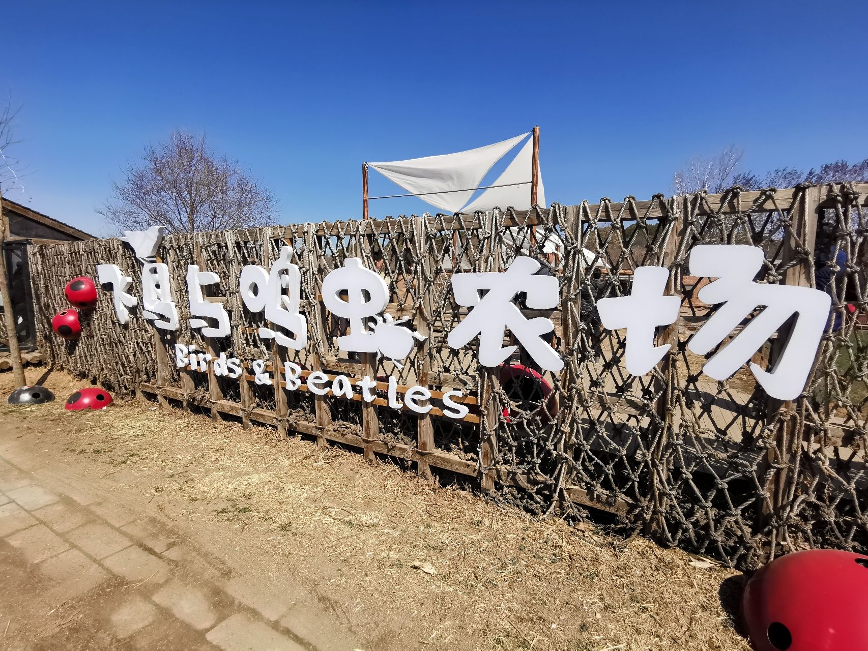 场地封面-飞鸟与鸣虫农场