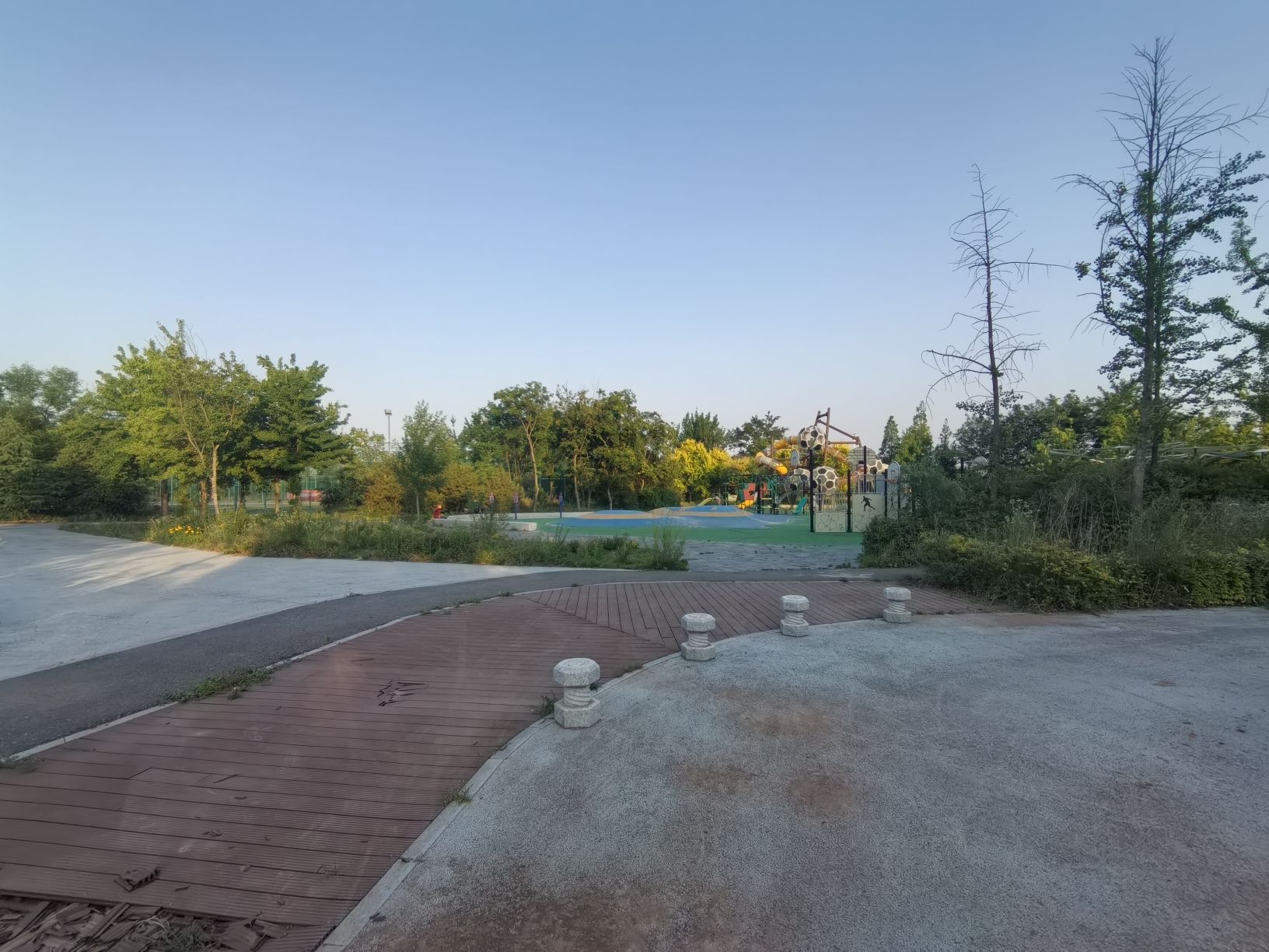 体育运动公园旅行图片 2