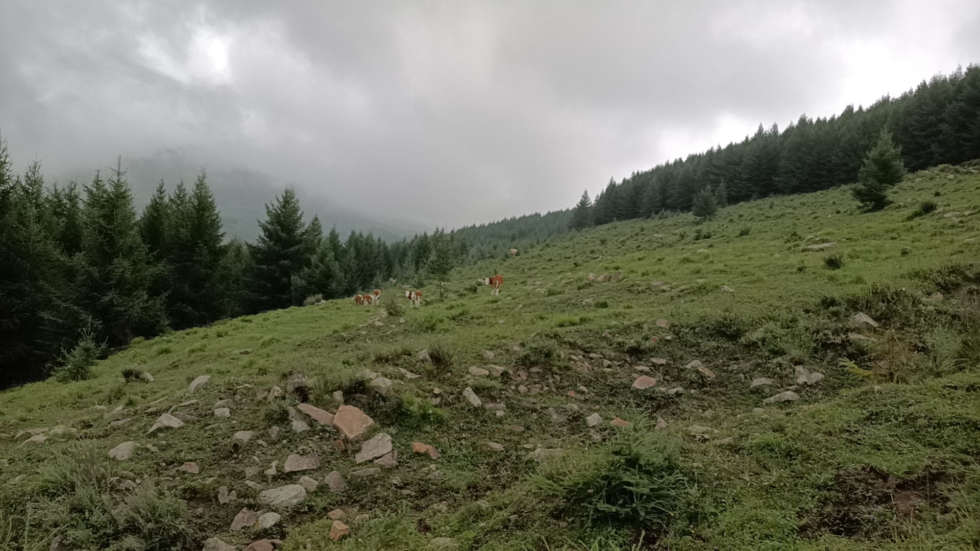 五台鸣溪谷旅行图片 2
